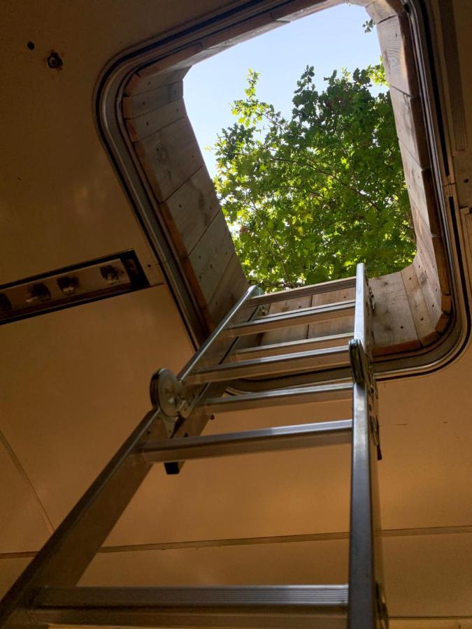 Magic Roof Top Bus With Big Bath In The Tree Forest! Mimizan Bagian luar foto